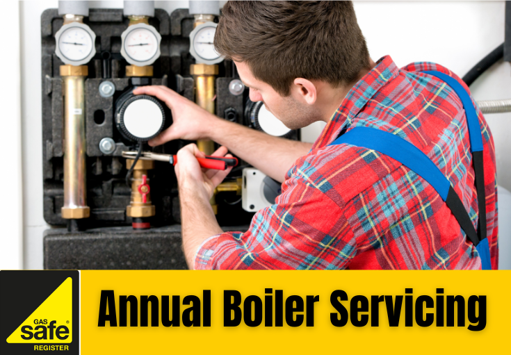 annual boiler servicing Meopham 