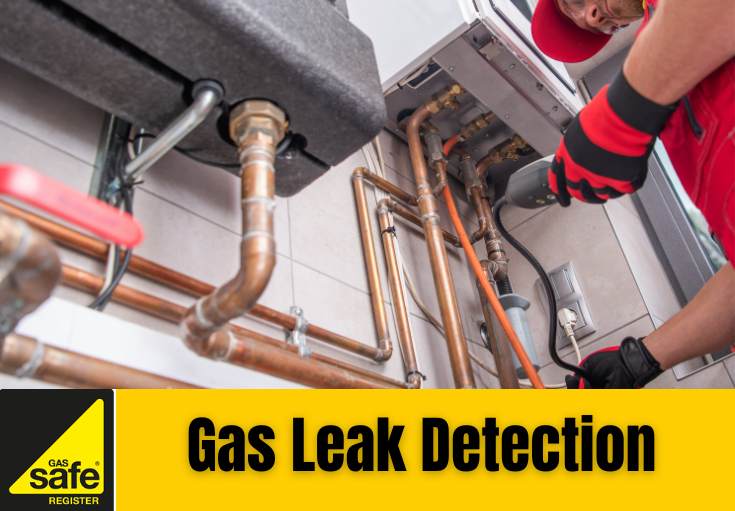 gas leak detection Meopham 